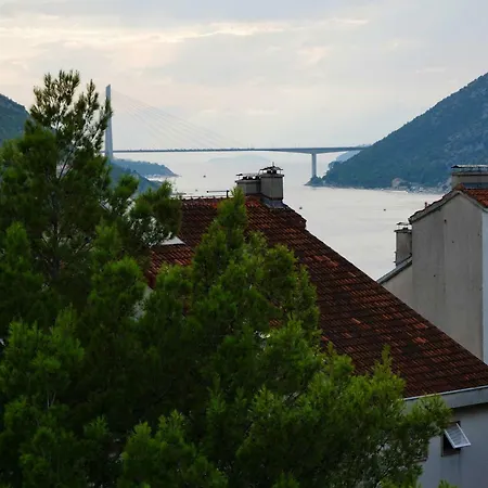 Dora * Mokošica