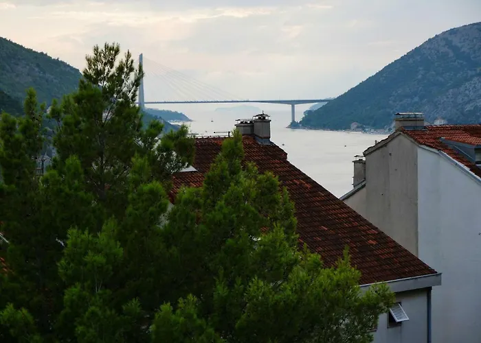 Dora * Mokošica